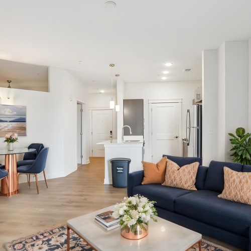 livingroom with white walls